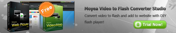 Convert video to flash