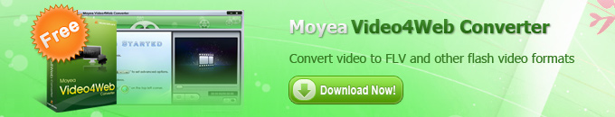 Convert video to FLV