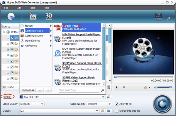 Set output video with Moyea DVD4Web Converter