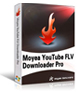 YouTube FLV Downloader Pro
