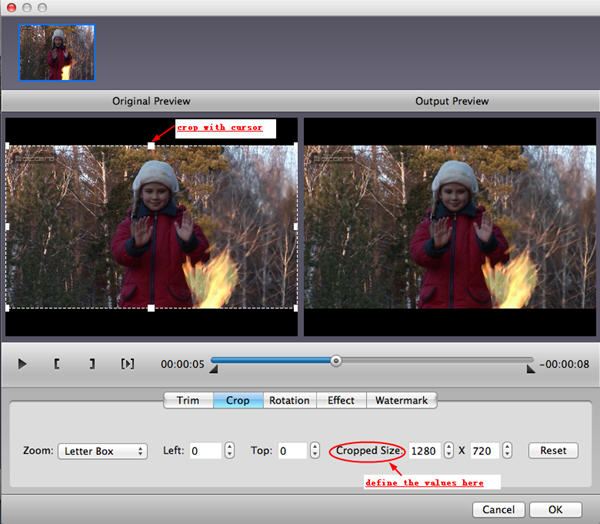 Video Converter for  Mac: crop video